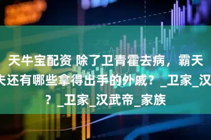 天牛宝配资 除了卫青霍去病，霸天下的卫子夫还有哪些拿得出手的外戚？_卫家_汉武帝_家族