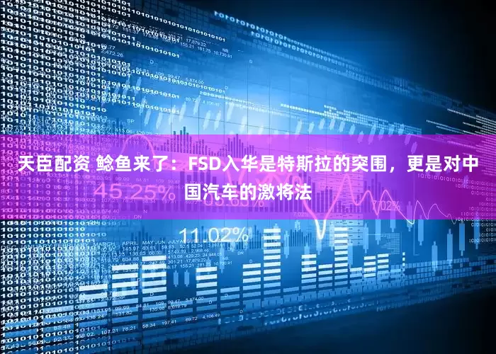 天臣配资 鲶鱼来了：FSD入华是特斯拉的突围，更是对中国汽车的激将法